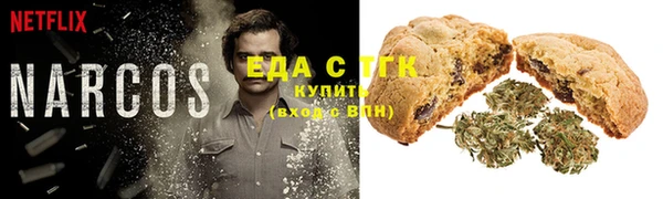 гидра Беслан