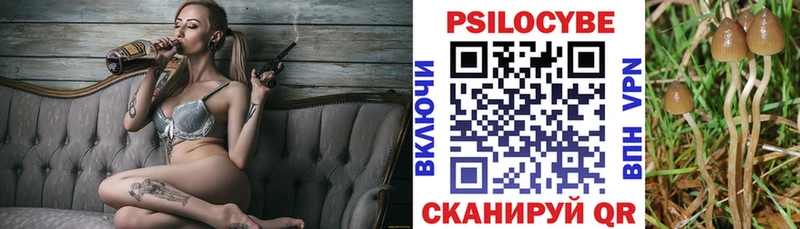 цены наркотик Грязи Псилоцибиновые грибы прущие грибы