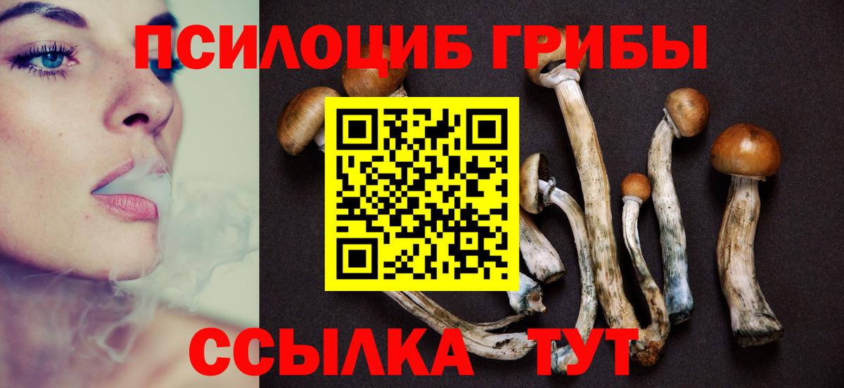где купить наркоту  Галлюциногенные грибы Psilocybine cubensis  Вход с VPN  Грязи 